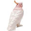 Decorative jar Exotic Bird