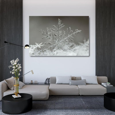 Alcott Hill® Naidandorj, Tsolmon Gallery Wrapped Canvas Art Titled: Snowflake