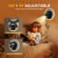 Wall-Mounted Rotating Bedside Lamp-1083274127