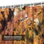 Rideau de douche Beautiful Autumn-603960890
