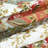 Arrow Polyester Floral Coverlet-451029082