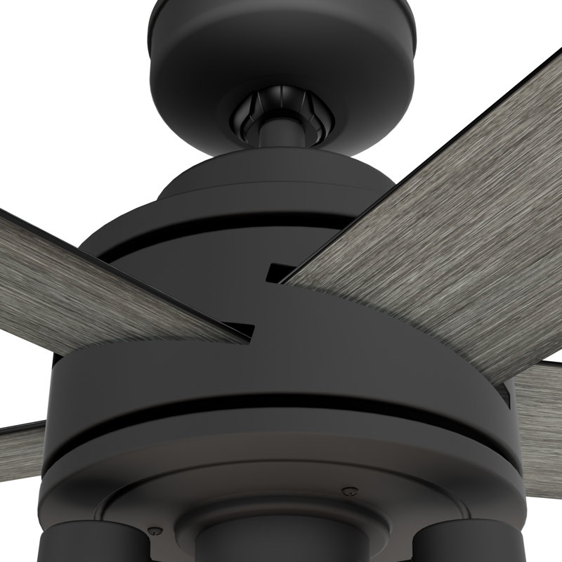 52" Lochemeade 5-Blade Standard Ceiling Fan with Remote Control and LED Light Kit Included, Matte Black