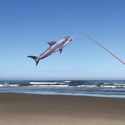 Baby Shark 30" Fish Windsock