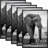 Poster Frame Set, Gold Gallery Wall Frames -408879893-408879894
