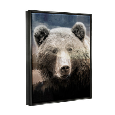 " Grizzly Bear Face Portrait "