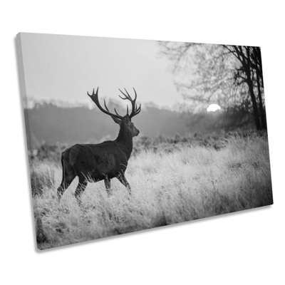 Sunset Deer Stag B&W - Wrapped Canvas Print