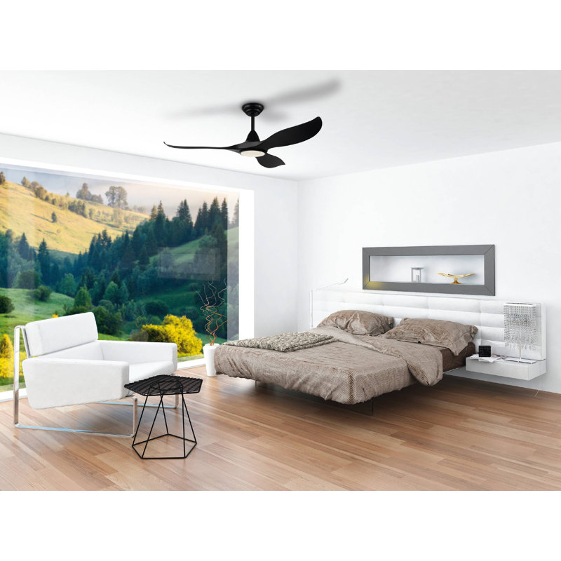 Deramus 132cm Ceiling Fan with LED Lights, Black, Black