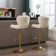 Bar & Counter Stool (Set of 2)