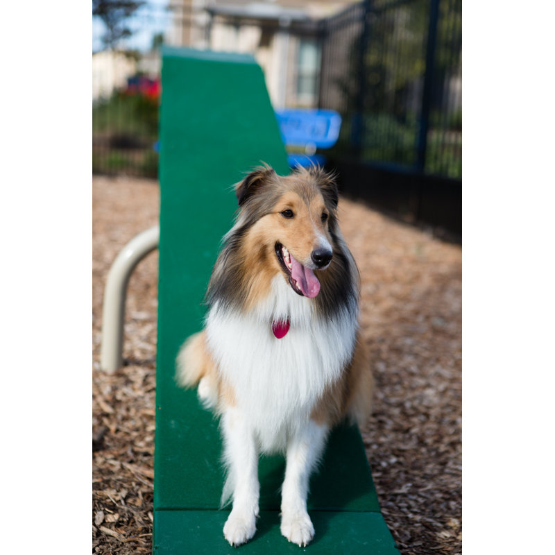 Pollitt Teeter Dog Pen, Natural