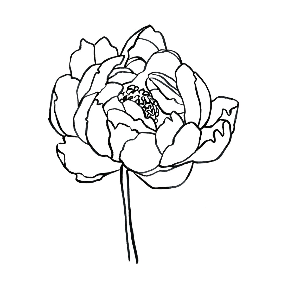 Leinwandbild Peony Shape I von Emma Scarvey