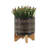 Includes plant rack flower pots