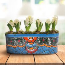 Wayfair  Ceramic Planters You'll Love in 2024