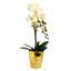 54cm Faux Plant in Pot Liner-101685131