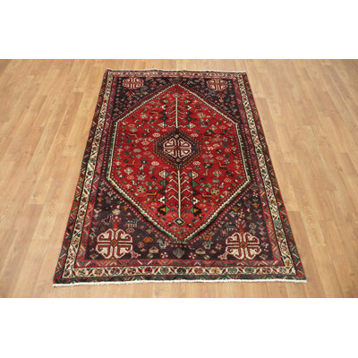 Traditional Style Rug 4x6