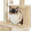 Arbre à chat 34 pouces-20833824