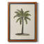 Toile encadrée de qualité supérieure AU CH British Palms I - prête à être accrochée-76678516