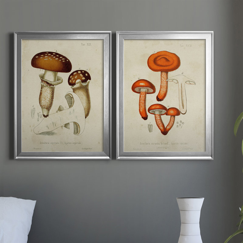 «Mushroom Variétés III», reproduction encadrée de qualité supérieure - prête à être accrochée, Cadre argenté