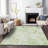 Premium Machine Washable Prisco Aloe Rug-1363403997