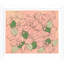 Jasmine Print by Susan Hable
