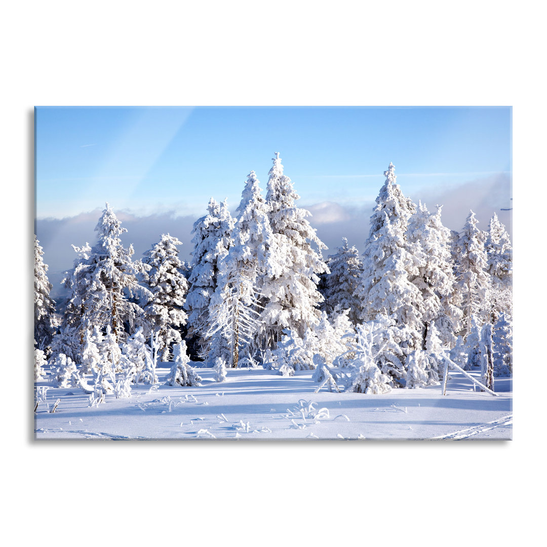 Fotodruck Winterwald