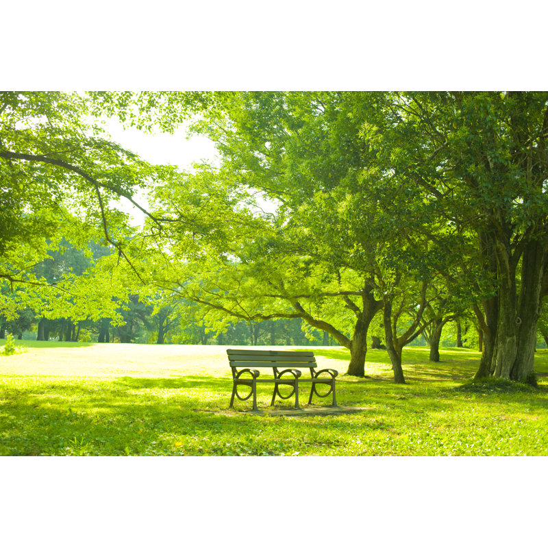 Park Park - Photographie sur toile tendue, H 8 po x l 12 po x P 1,25 po