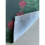 Napperon des Fêtes, motif de poinsettias, ensemble de 2