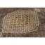 Oriental Area Rug