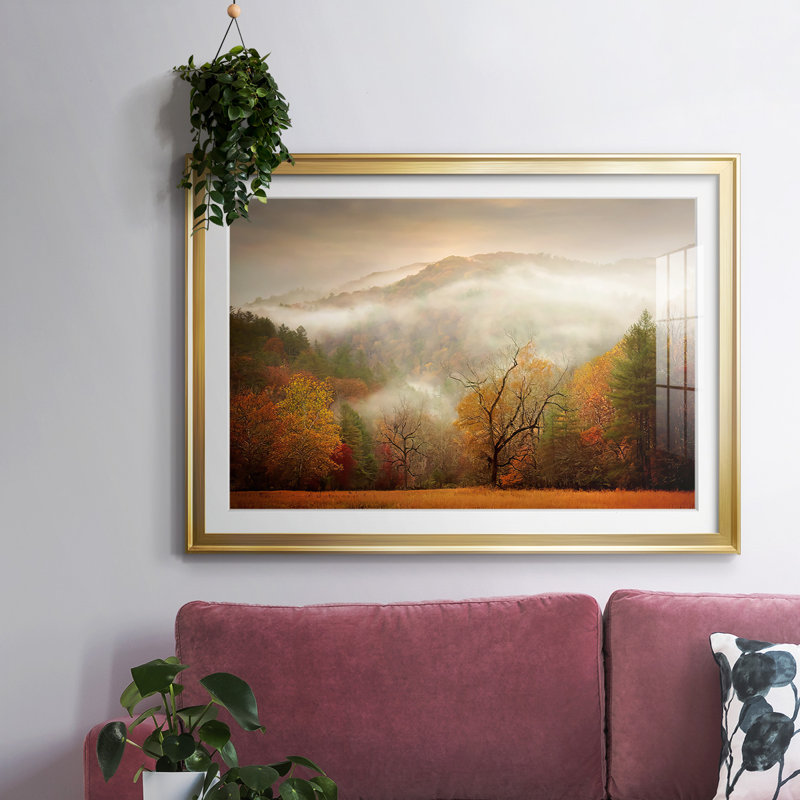 Photographie, Étude d'automne, brume, impression sur papier, Or, H 15 po x l 21 po x P 1,5 po