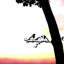 «Jeneen Birds on Branch», art de jardin