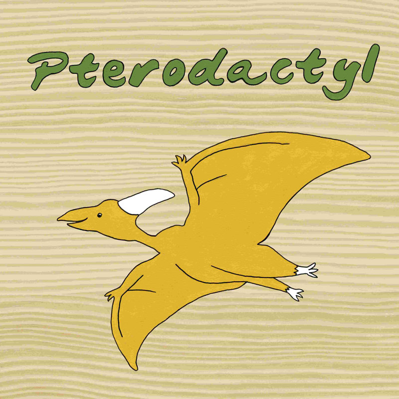 " Pterodactyl " by Megan Meagher, 12" H x 12" W x 1.25" D