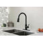 Robinet de cuisine avec douchette extractible-118388218