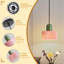 Luminaire suspendu Mid-Century-171012185-171012188