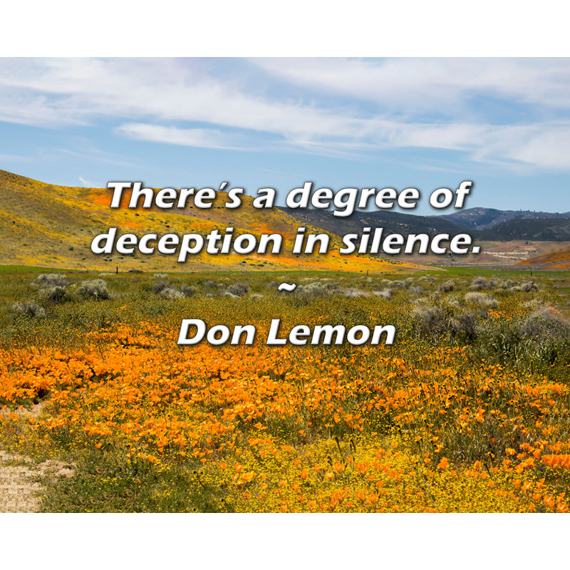 Citation artistique «Il y a un certain degré de tromperie dans le silence». Toile tendue par Don Lemon Gallery
