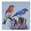 « easterne duo duo », reproduction de peinture à l’acrylique sur toile tendue-31974765