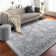 Conlan Machine Woven Oriental Gray/Blue Area Rug