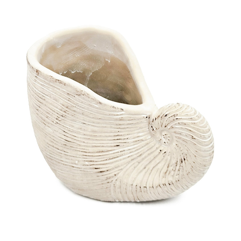 8.5X5.5X6.3 Inches Sand Cement Shell Planter With Textured Beige Surface, Great For Displays Finish And Planter, Complements Modern Home Decor