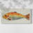 Fanciful Fish II- Gallery Wrapped Canvas -Ready to Hang-1905258838