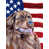 Norfolk Terrier 1 sélectionné