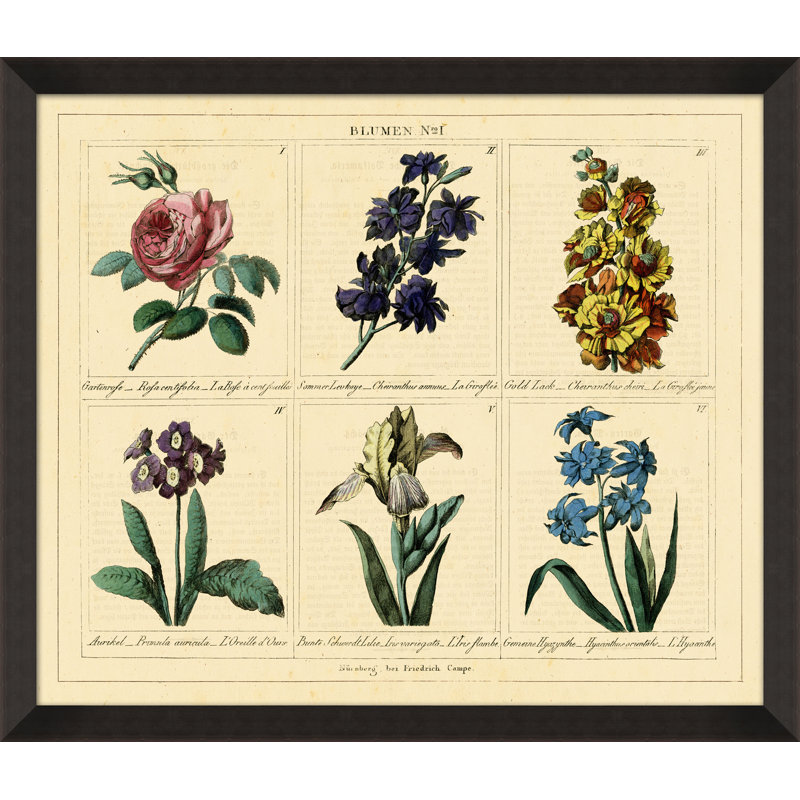 Blume N I - cadre photo, impression sur papier