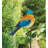 Songbird Stake - Blue Bird