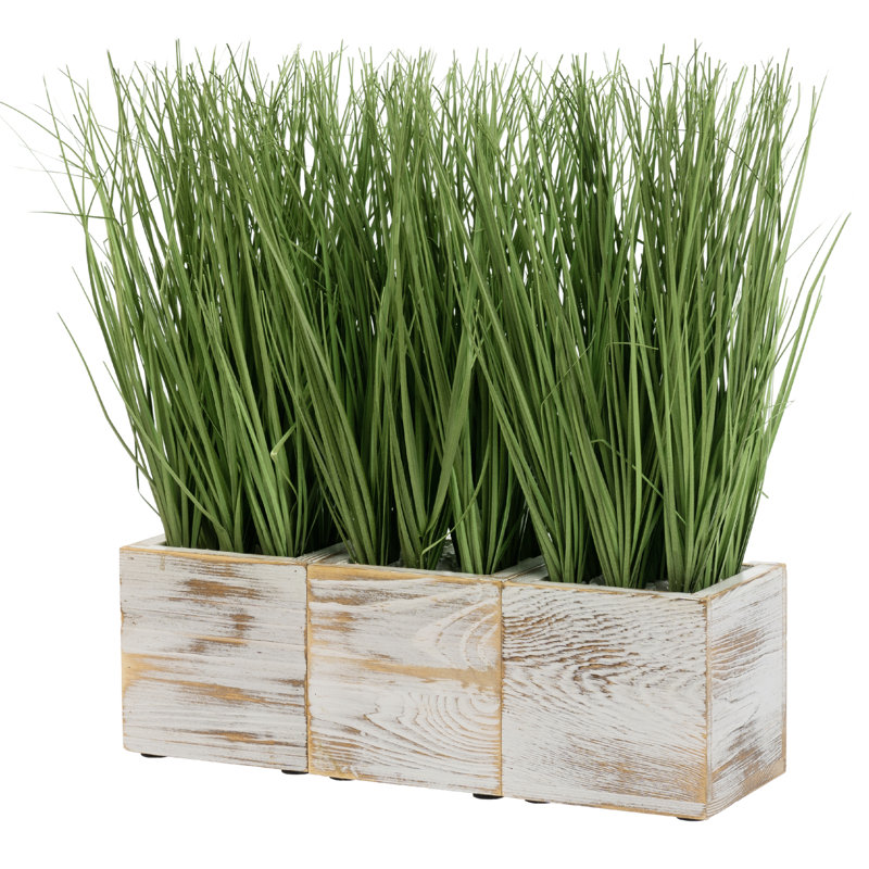 34cm Faux Onion Grass Grass in Solid Wood Pot