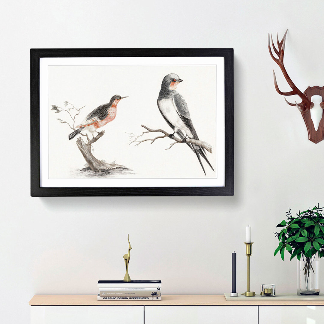 Songbird & Bee-Eater Bird by Johan Teyler - Framed Print