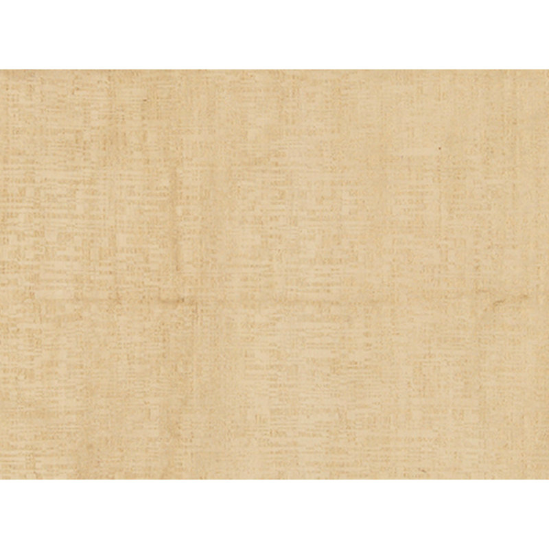 Hand Knotted Area Rug in Ivory