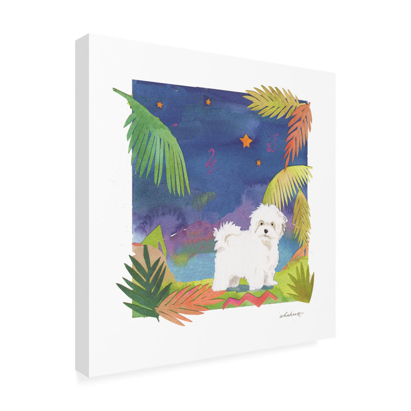 «Maltipoo Midnight On Canvas» par Whiskers Studio Print, H 14 po x l 14 po x P 2 po