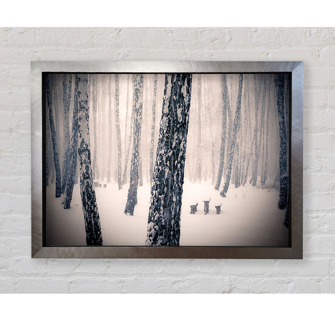 Forest Snowing - Einzelner Bilderrahmen Kunstdrucke