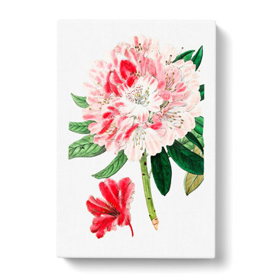 Pink Azalea Flowers - Wrapped Canvas