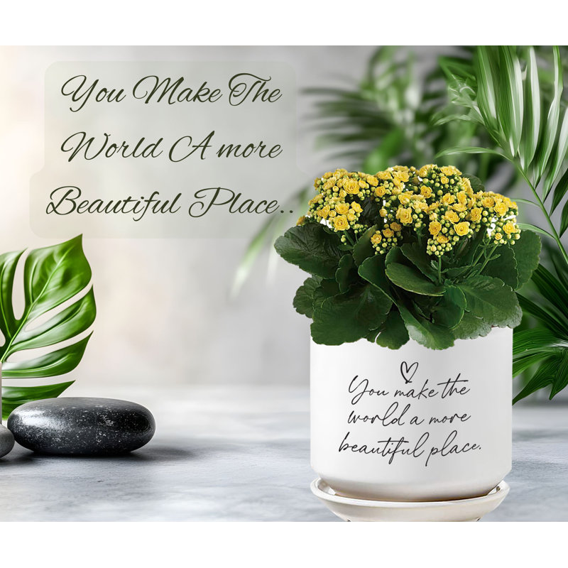 Jardinière You Make The World Beautiful