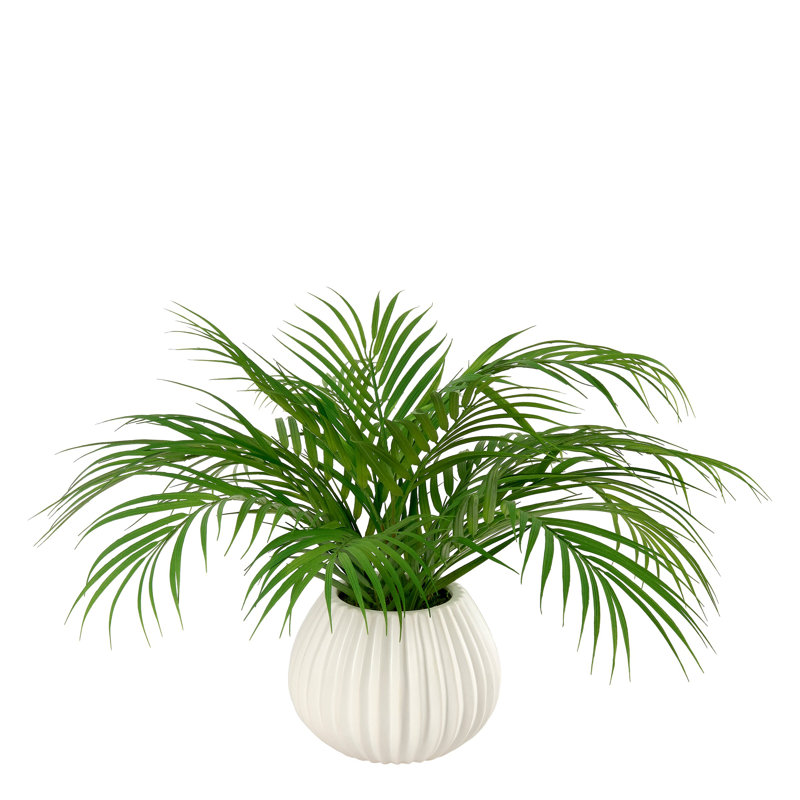 Frond Of You