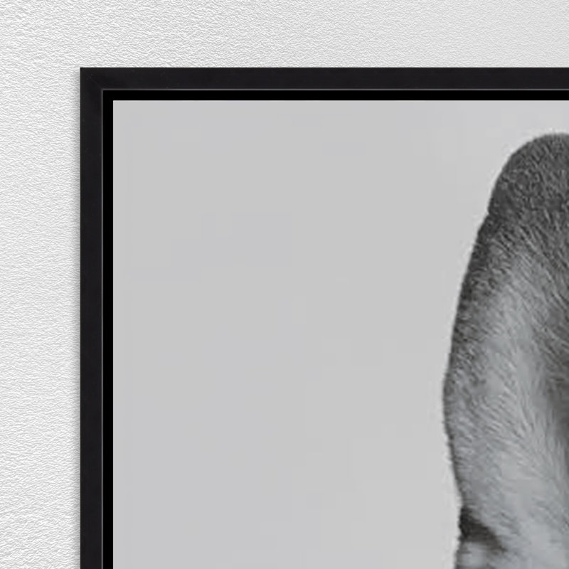 Doggie Big Mouth Print by Jeffrey Goodman, Image Brush Gel