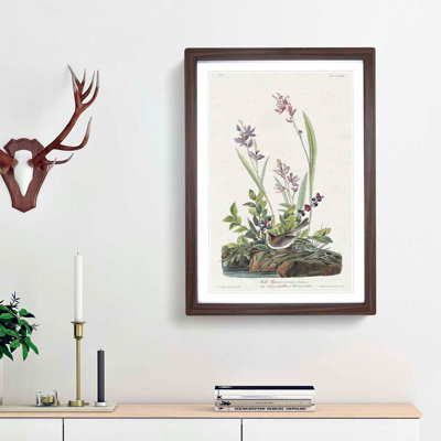 Field Sparrow by John Audubon - Picture Frame Graphic Art Print